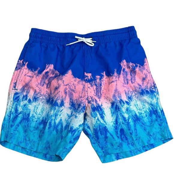 COASTAL SWELL Men's Swim Trunks Small - Picture 1 of 5